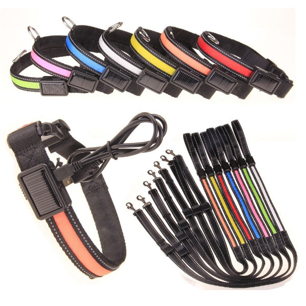Fluorescent Dog Collar For Nighttime Visibility
