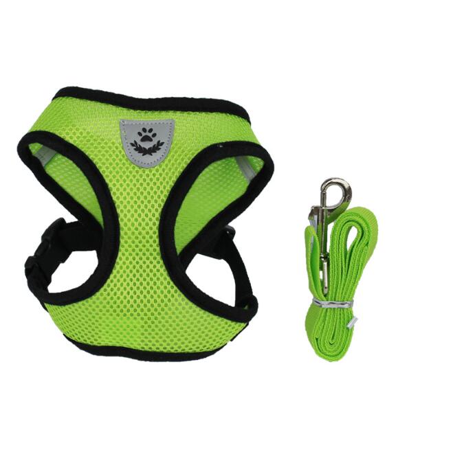 Pet Car Seat Belt Leash For Secure Travel