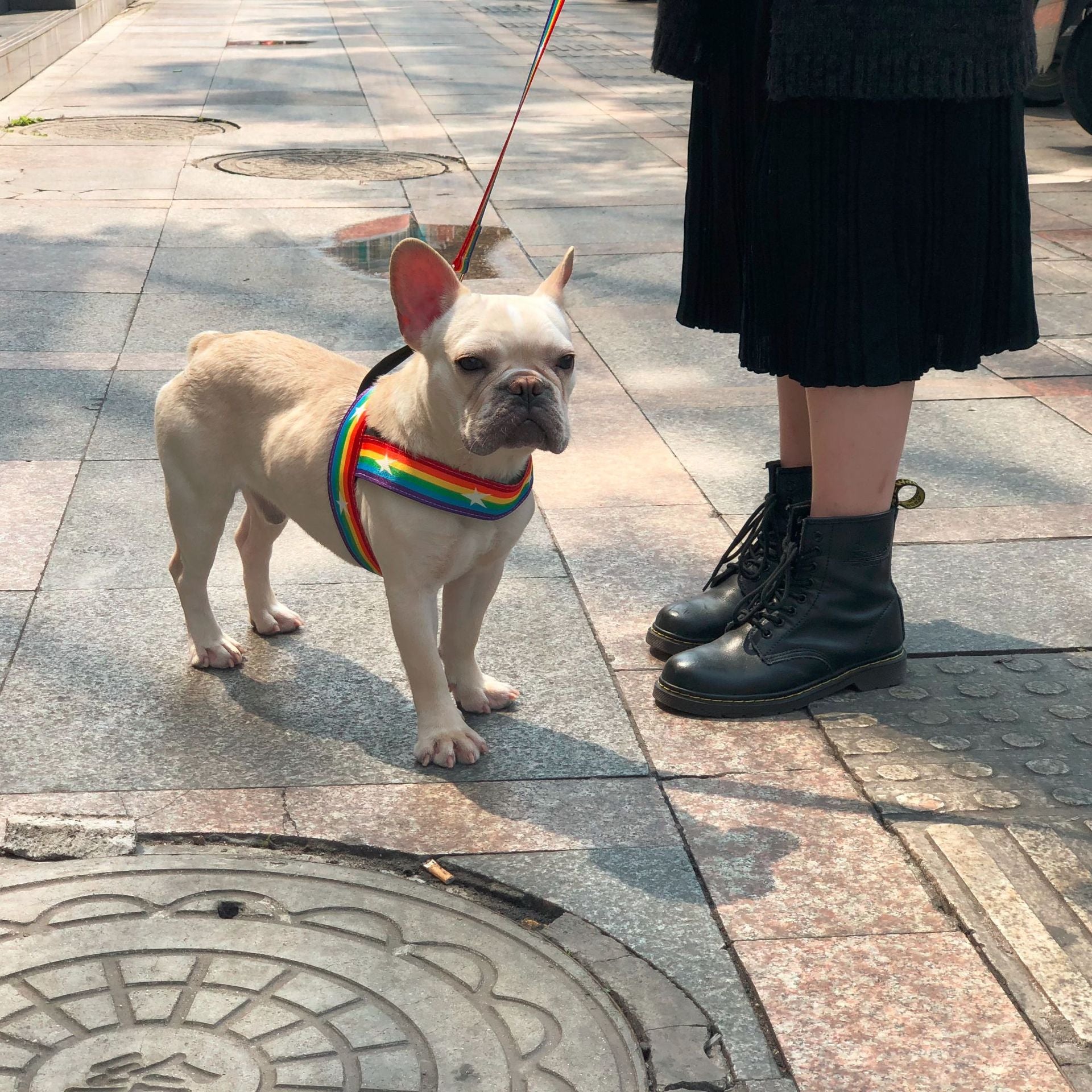 Rainbow Dog Chain Leash For Stylish Outdoor Walks