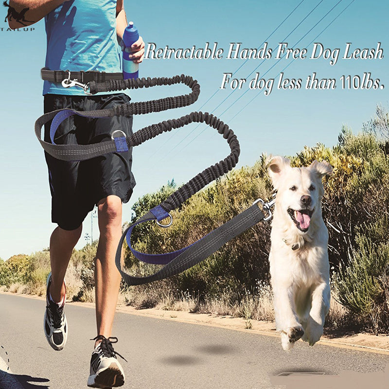 Reflective Double Elastic Dog Leash For Running And Training
