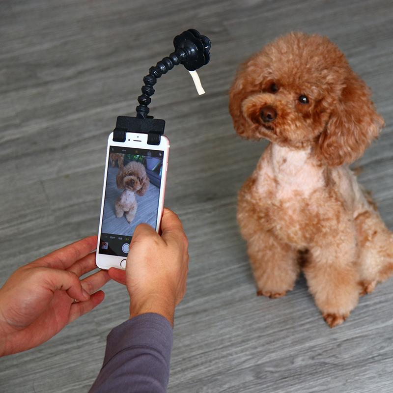 Pet Selfie Stick Clip For Capturing Perfect Pet Photos