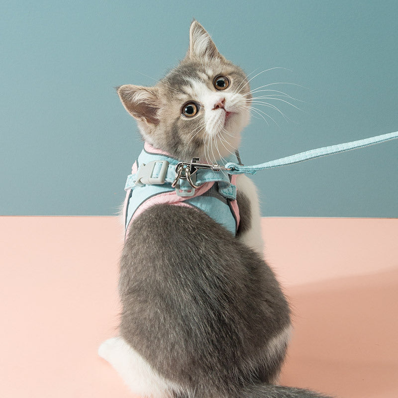 Adjustable Cat Harness And Leash Set For Safe Walks