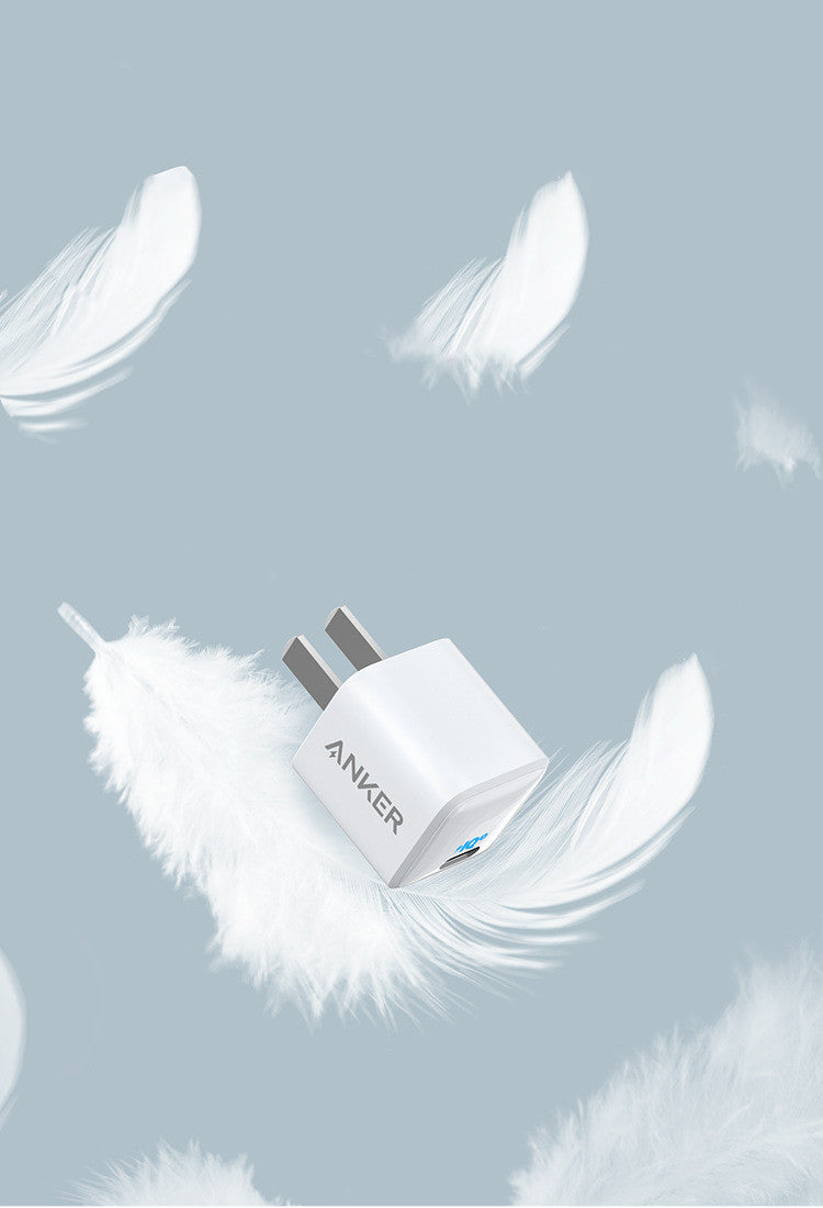Compact Travel Fast Charger With 600mA Output And USB Interface