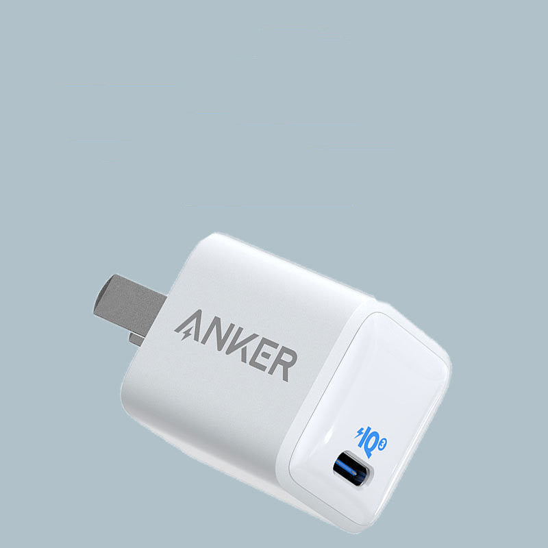 Compact Travel Fast Charger With 600mA Output And USB Interface