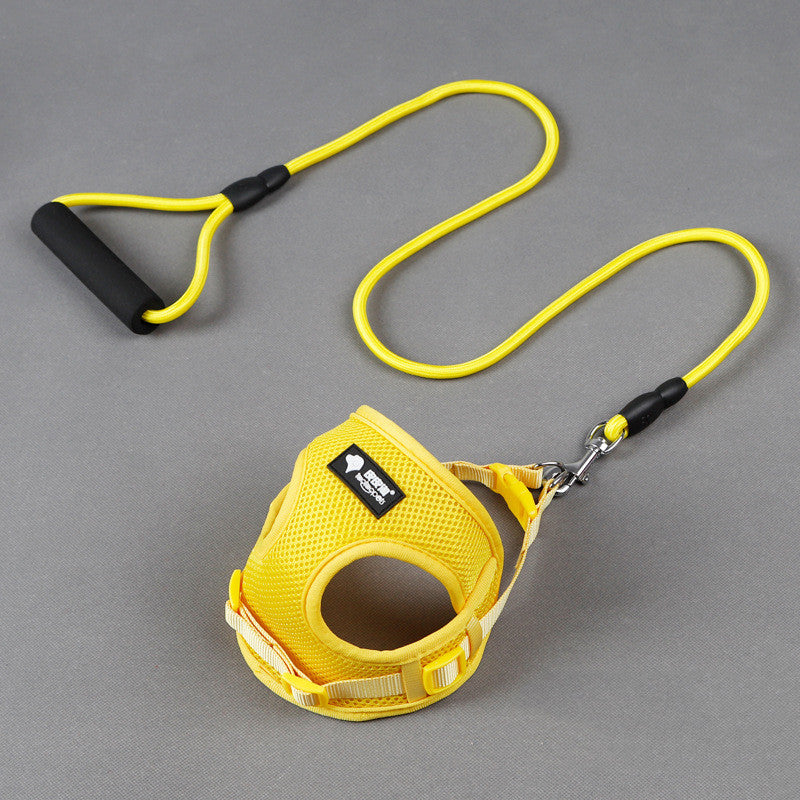Durable Dog Leash And Collar Set For Daily Walks