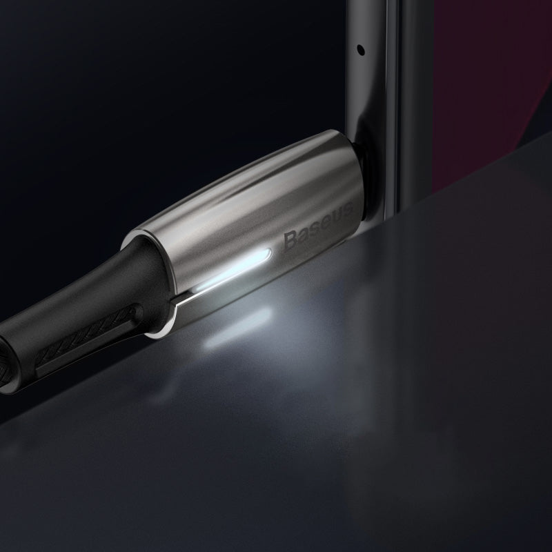 Dual Type C Fast Charging Cable With 60W PD Support