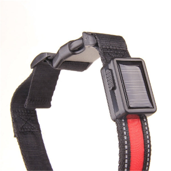 Fluorescent Dog Collar For Nighttime Visibility