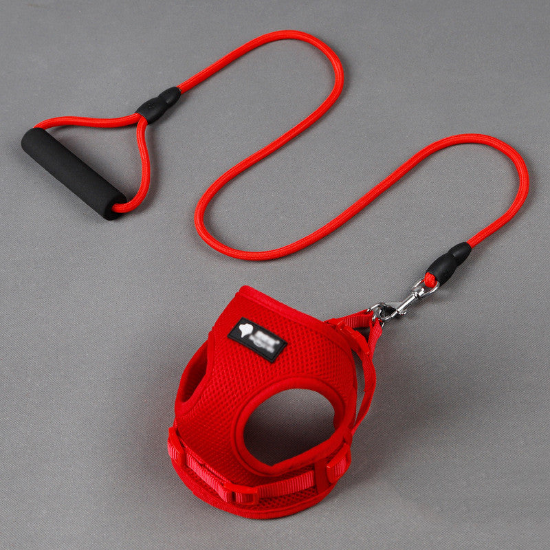 Durable Dog Leash And Collar Set For Daily Walks