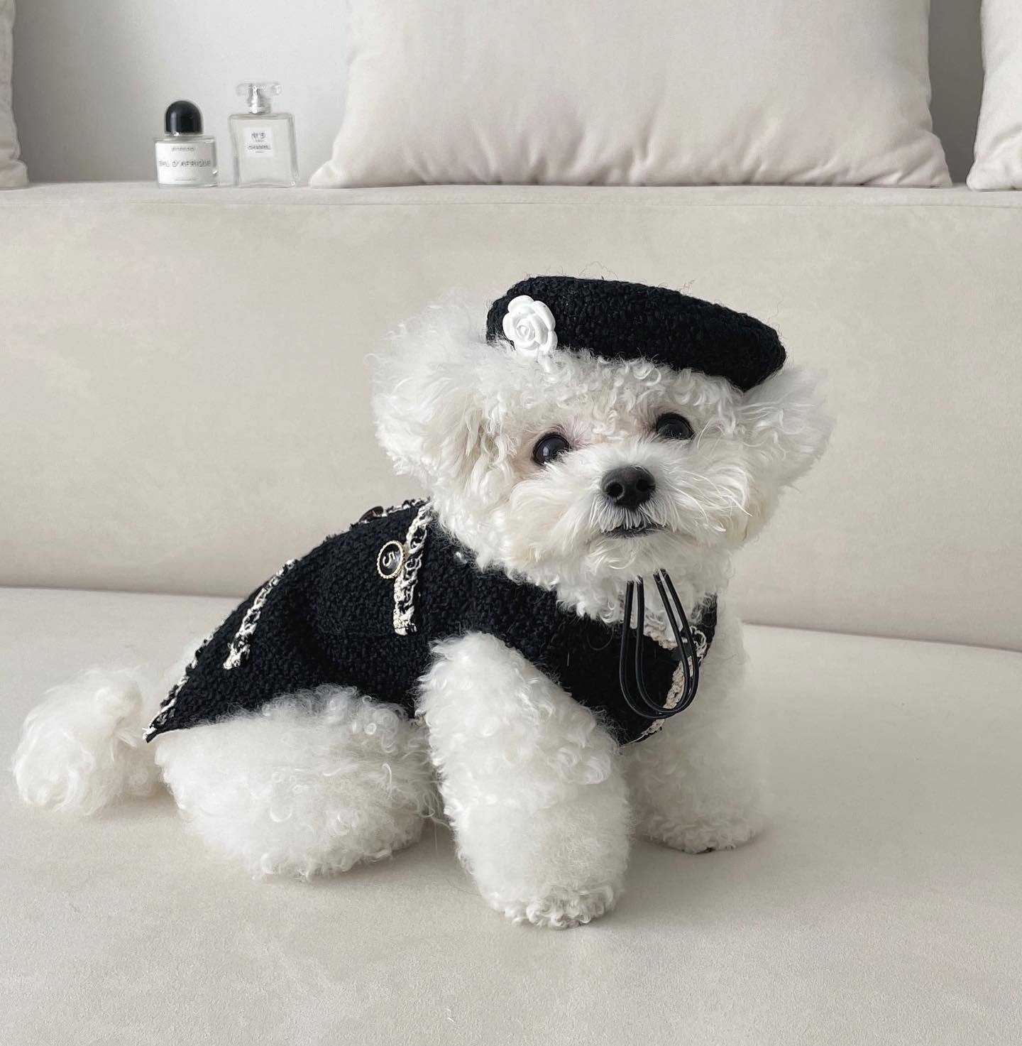 Knitted Pet Hat Accessory For Cats And Dogs