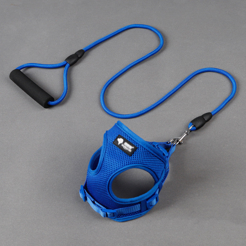 Durable Dog Leash And Collar Set For Daily Walks