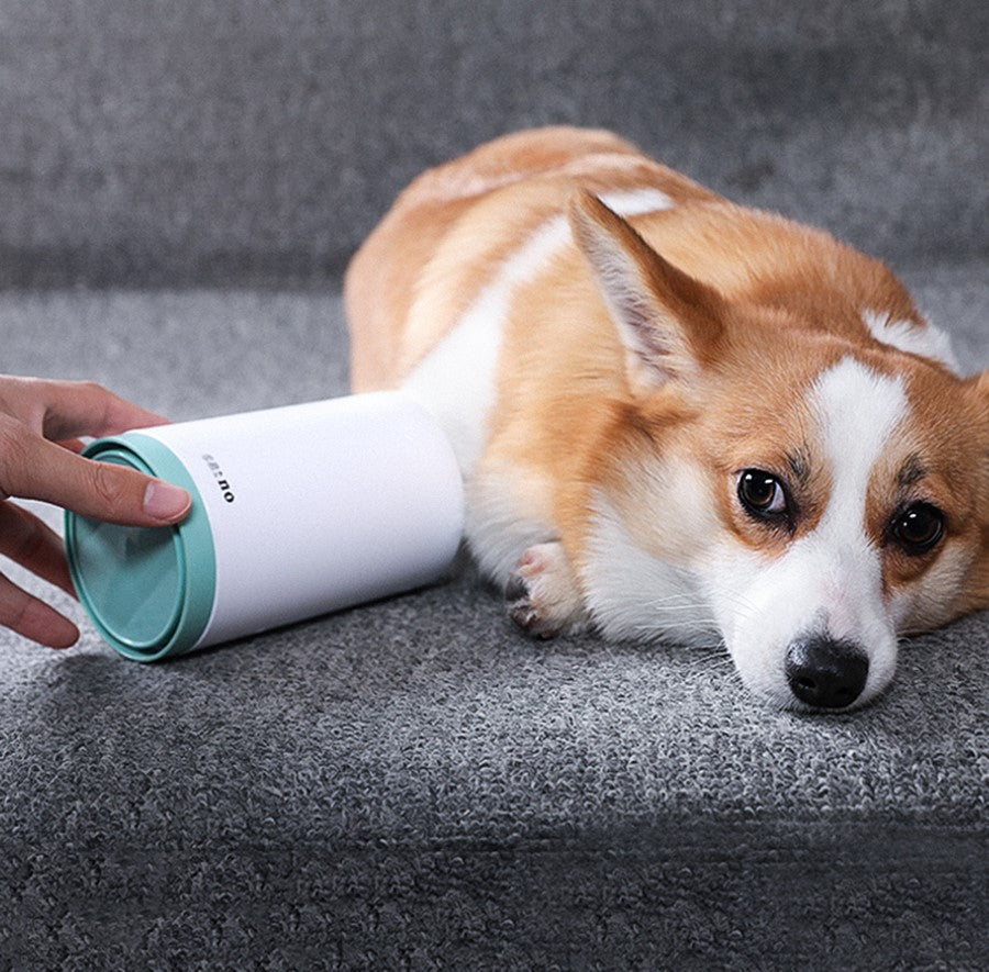 Portable Silicone Pet Paw Cleaner Cup With Comb