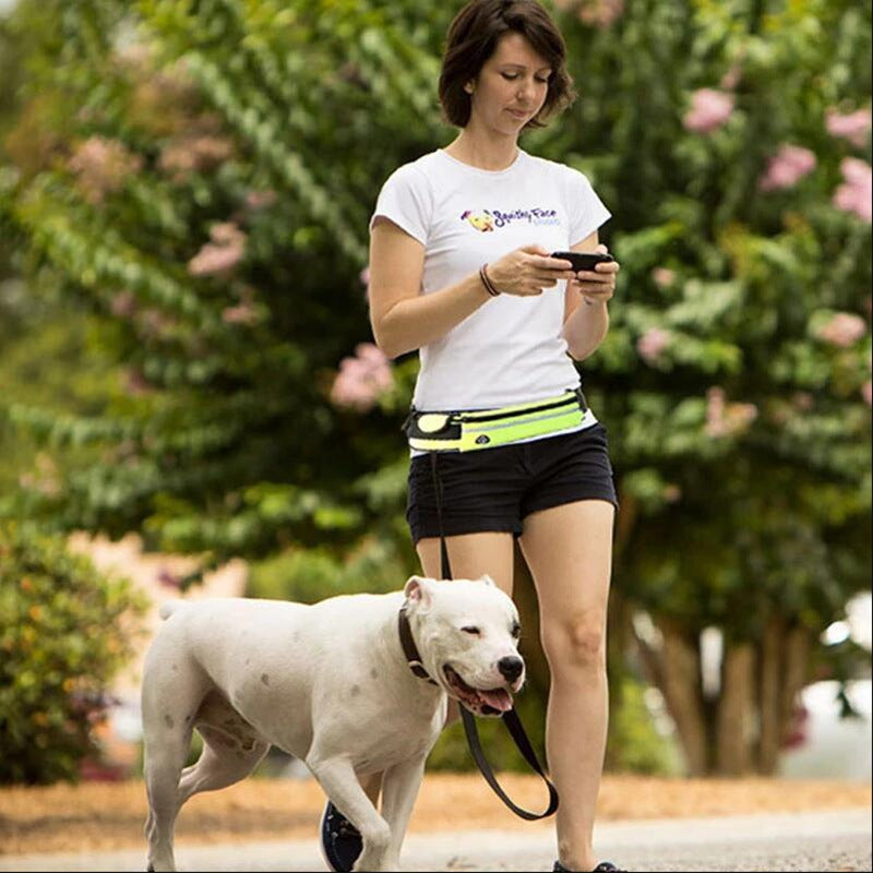 Hands Free Dog Leash With Bungee And Storage Pockets