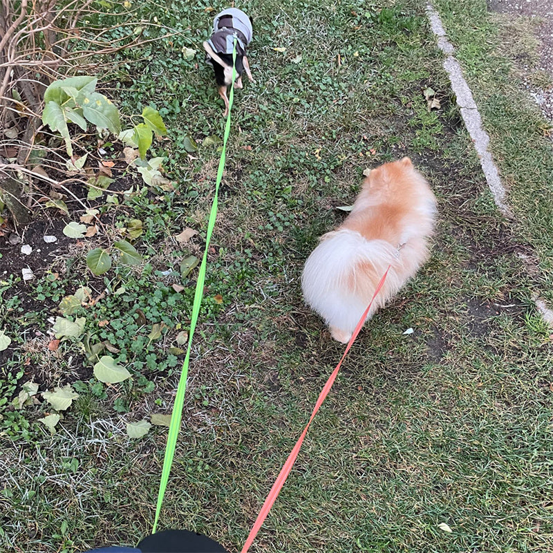 Retractable Reflective Dual Dog Leash With LED Lights