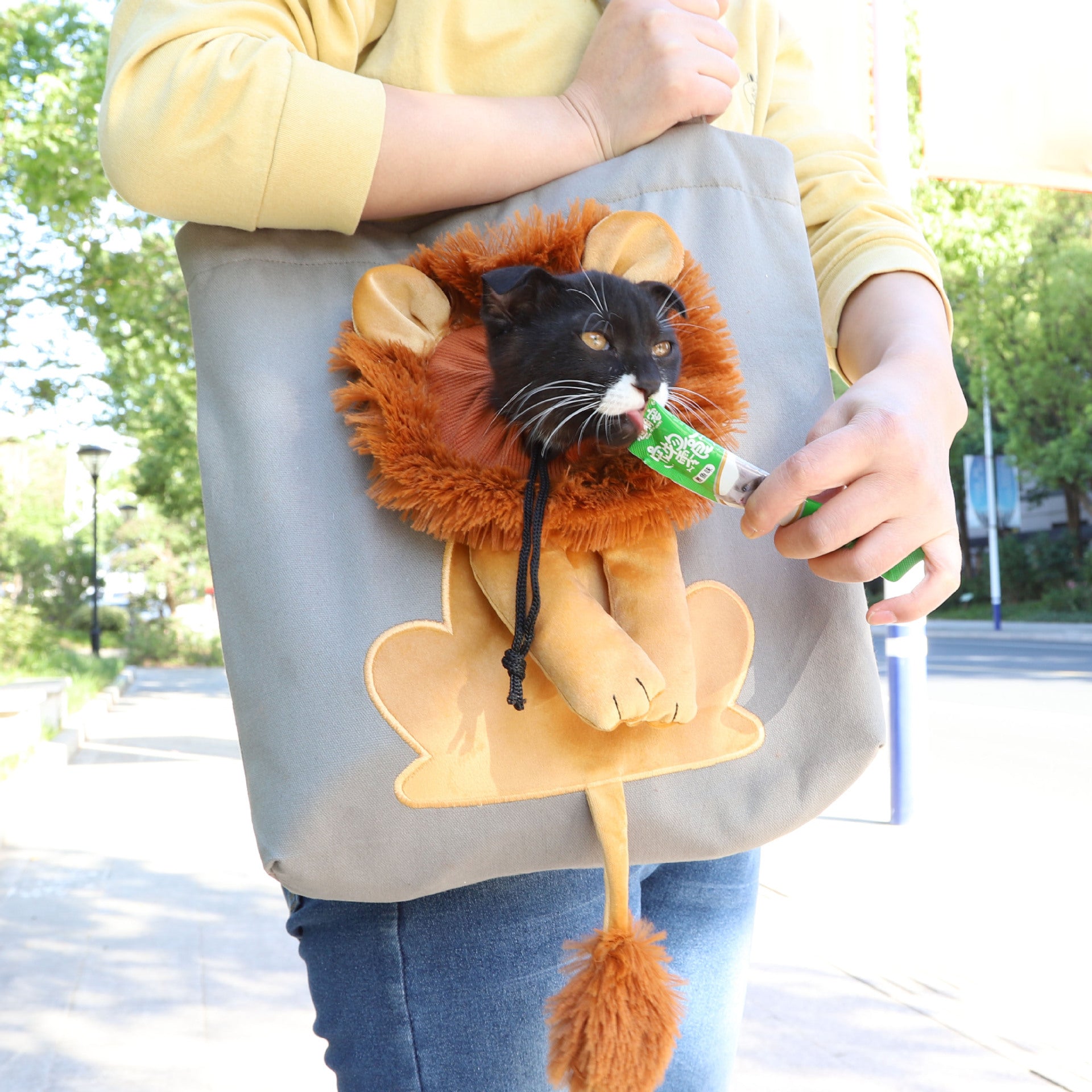 Lion Design Soft Pet Carrier Bag For Cats And Dogs