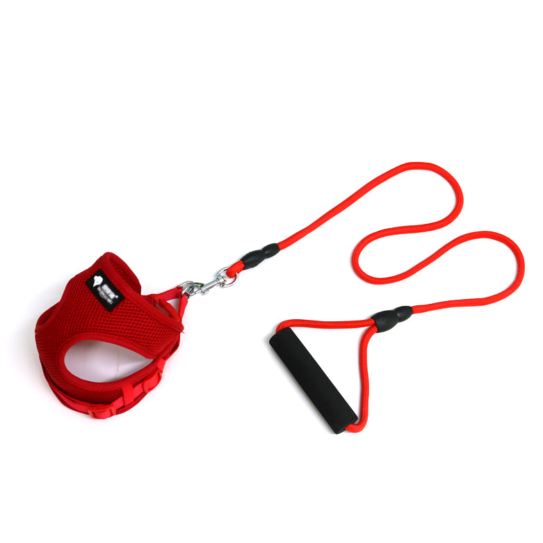 Durable Dog Leash And Collar Set For Daily Walks