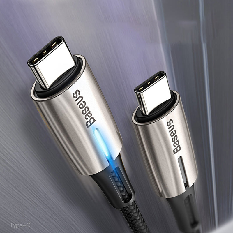 Dual Type C Fast Charging Cable With 60W PD Support