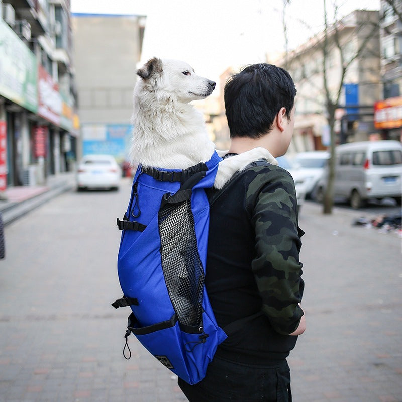 Double Shoulder Pet Carrier Backpack For Comfortable Travel - THEONE APPAREL
