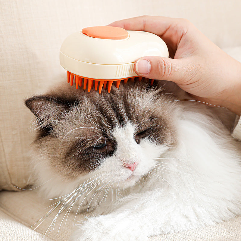 Electric Steam Cat Brush With Self Cleaning Massage Design