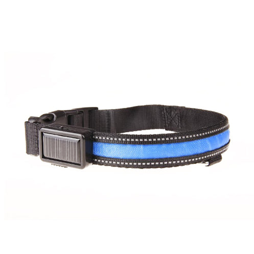 Fluorescent Dog Collar For Nighttime Visibility