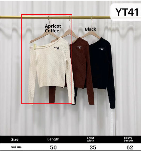 Off-Shoulder Embroidered Knit Long Sleeve Slim Fit Short Top