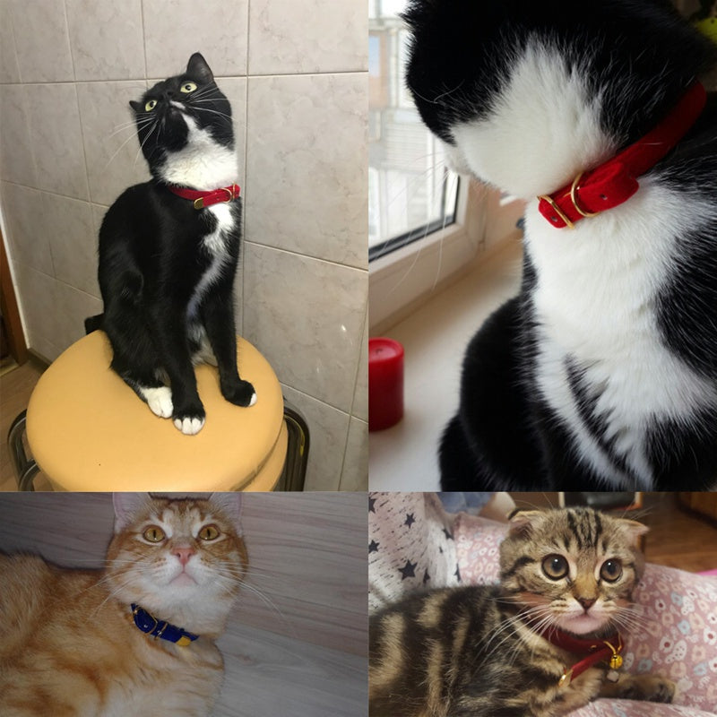 Adjustable Cat Collar For Everyday Comfort And Safety