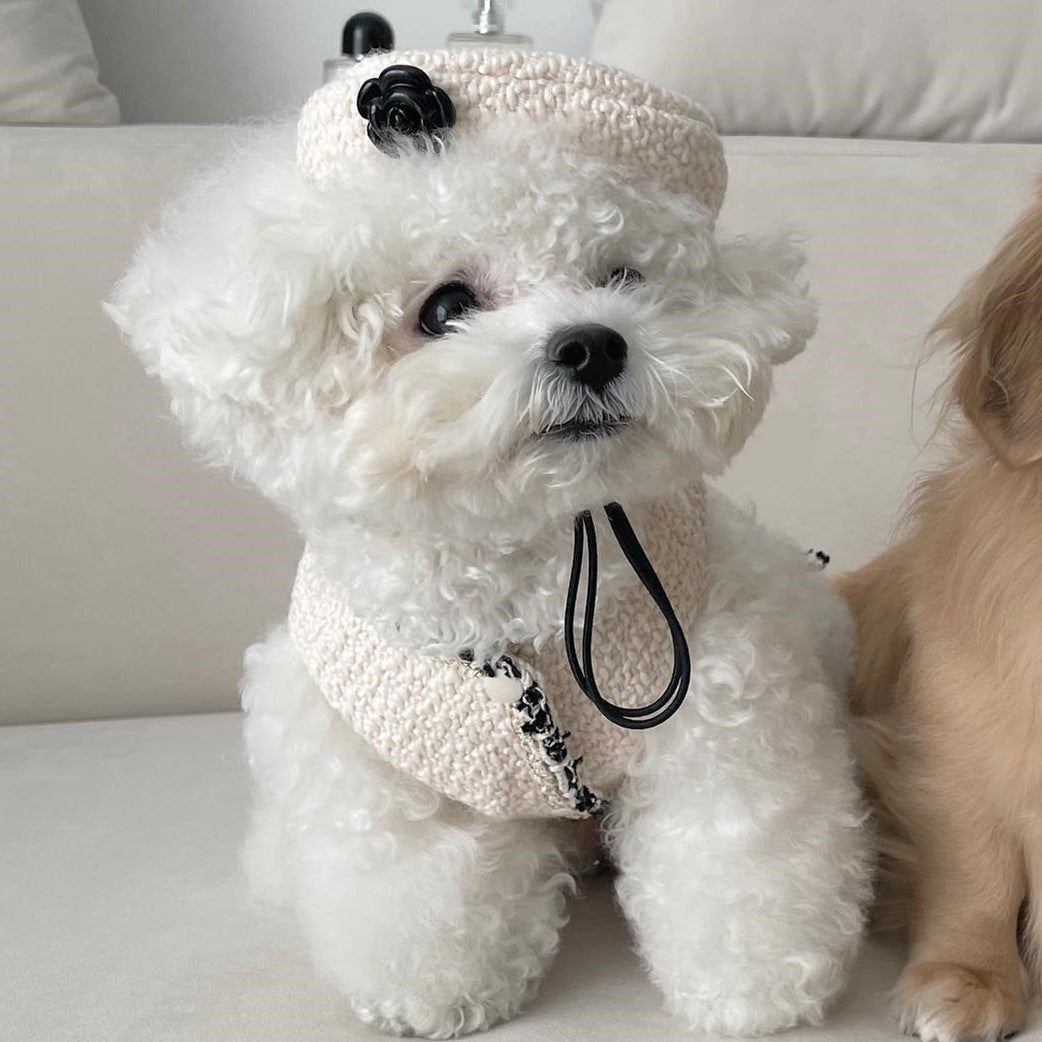 Knitted Pet Hat Accessory For Cats And Dogs