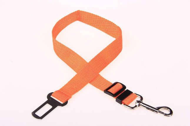 Durable Polyester Dog Leash With Fixed Strap For Daily Walks-Theone Apparel