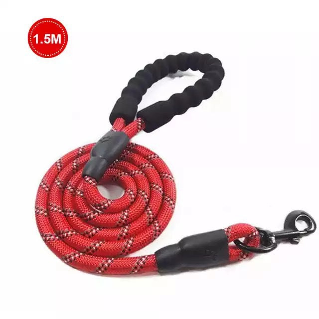 Luminous Dog Leash Chain For Small And Medium Breeds