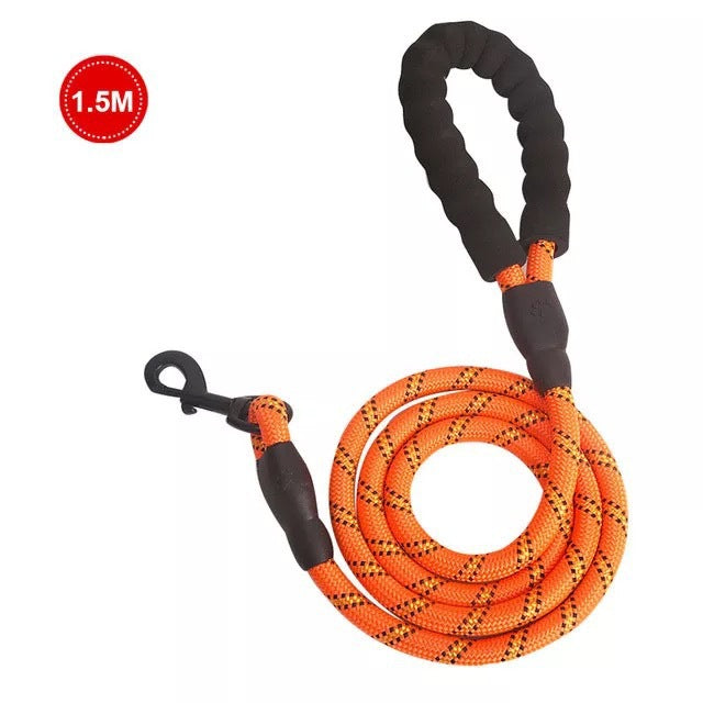 Luminous Dog Leash Chain For Small And Medium Breeds
