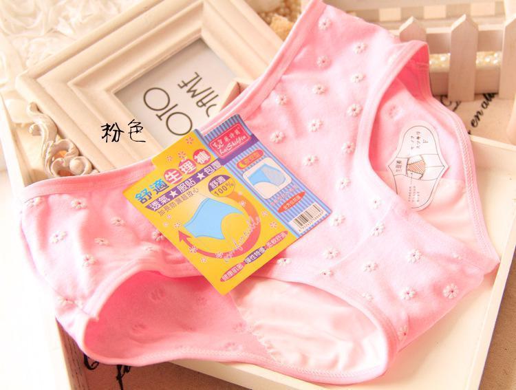 Floral Daisy Delight Hipster Panty-Pink-Theone Apparel