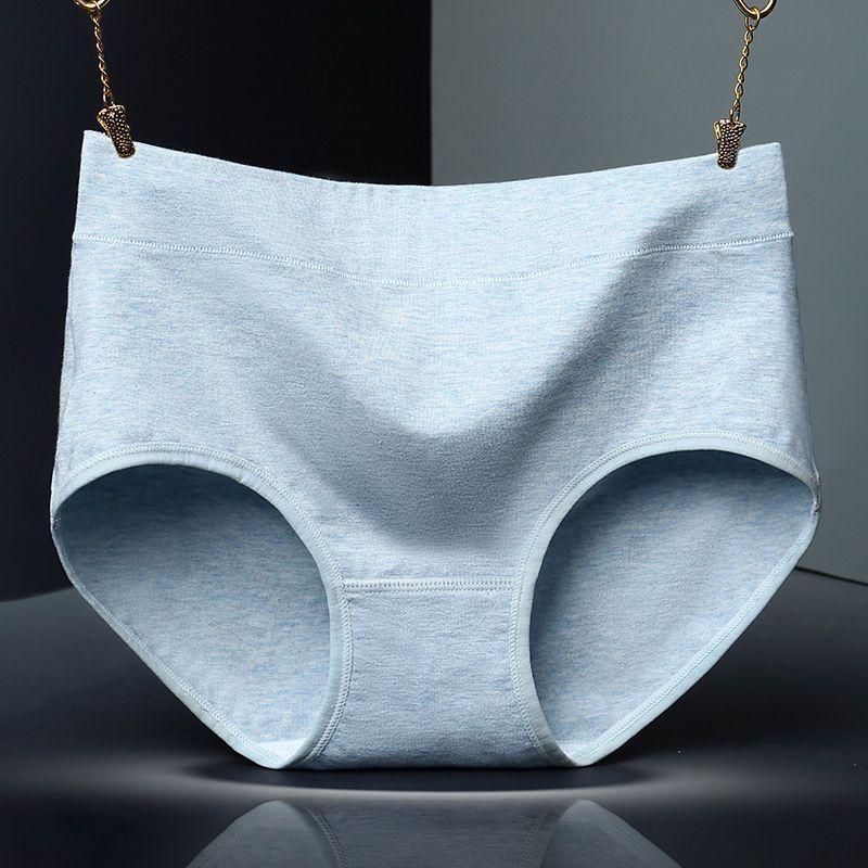 Supportive High Waist Brief Panty-Theone Apparel