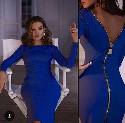 Zip Back Skintight Long Sleeve Dress-Theone Apparel